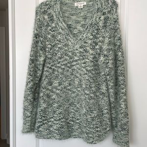 Skye’s The Limit 1X sweater in beautiful variegated greens